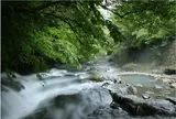 旅館藤もと