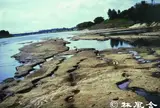 イギリス海岸