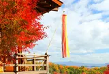 絶景！大悲閣「千光寺」