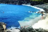 伊豆大島