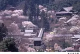 長谷寺
