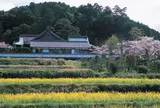 橘寺