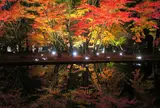 曽木公園