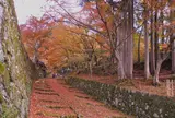 百済寺