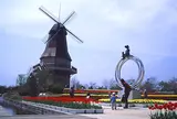霞ヶ浦総合公園