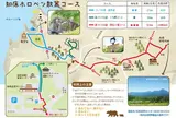 しれとこ森づくりの道・開拓小屋コース