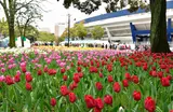 横浜公園