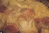 アルタミラ洞窟