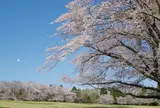 泉自然公園