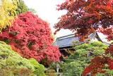 豪商の館田中本家博物館