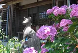 第17番　極楽寺