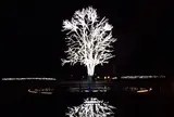 京都府立植物園