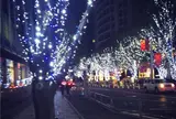 六本木ヒルズけやき坂通り