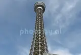 横浜マリンタワー