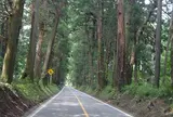 例幣使街道