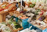 Farmer's Market @ UNU