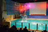 浅虫水族館