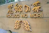富良野といえば麓郷の森へ行かねばなりません