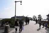 いよいよ江ノ島に突撃します