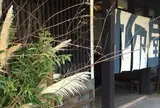湯治 柳屋