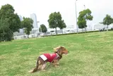 臨港パーク