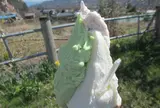 ちるちる