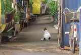厳原町今屋敷
