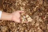 浜御塩　白松