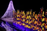 水郷桜イルミネーション