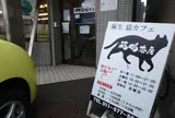麻生 猫カフェ 福猫茶房