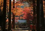 日吉大社