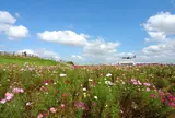 三里塚さくらの丘