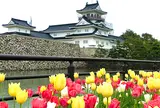 富山城址公園