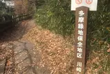 多摩自然遊歩道