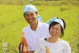 むぎわらFARM