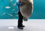 四国水族館