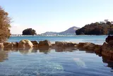胡蝶蘭