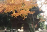 真間山弘法寺