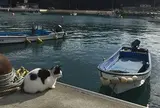 仁斗田港