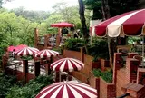 CafeTerrace樹ガーデン