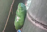 大江の山奥