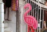 フラミンゴ 吉祥寺店