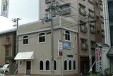 島海月