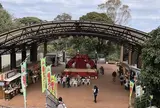 都立大島公園椿園