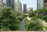 Cheonggyecheon　清渓川