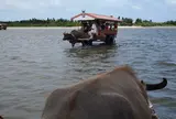 由布島