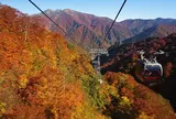 谷川岳ロープウェイ