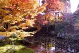 即宗院（期間限定公開）