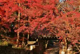 西教寺