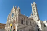 ドゥオーモ（シエナ大聖堂）美術館